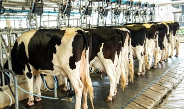 Agriculture